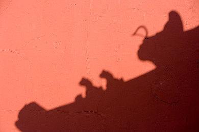 任天堂解释《超级马里奥兄弟：惊奇》取消时限